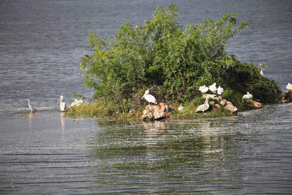 Refanidis Natural Luxury Hotel Áno Poróïa Zewnętrze zdjęcie