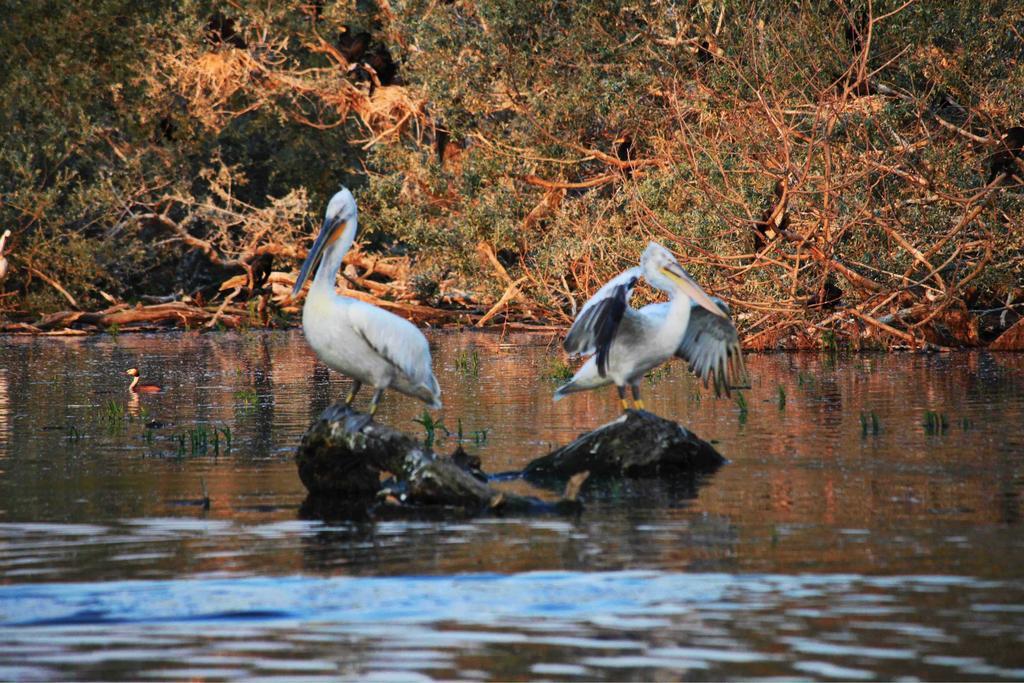 Refanidis Natural Luxury Hotel Áno Poróïa Zewnętrze zdjęcie